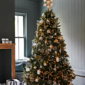 winter white royal blue spruce h2 fc uk hero 19 x