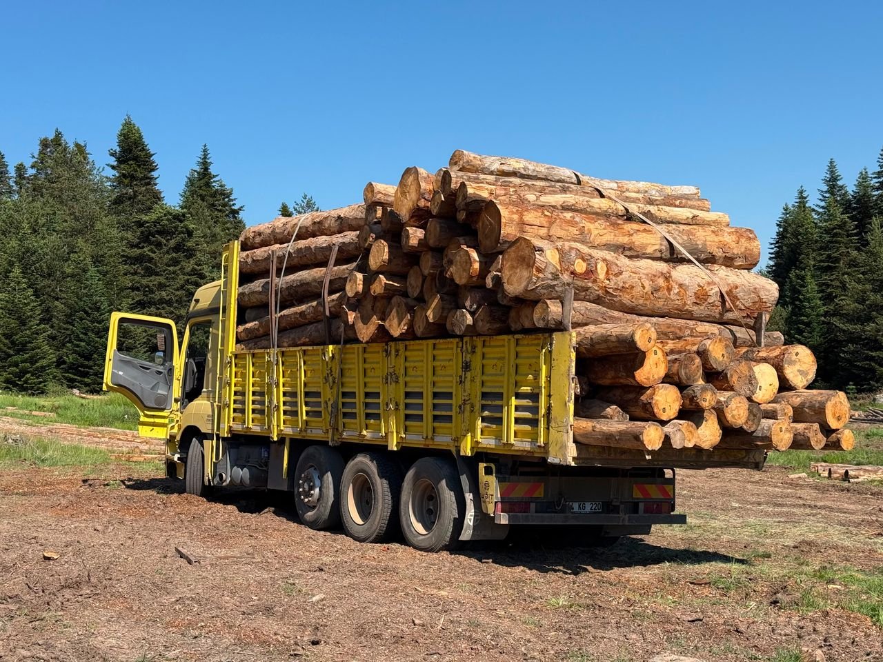 delivery-policy Yellow truck loaded with logs in a forest on a sunny day.