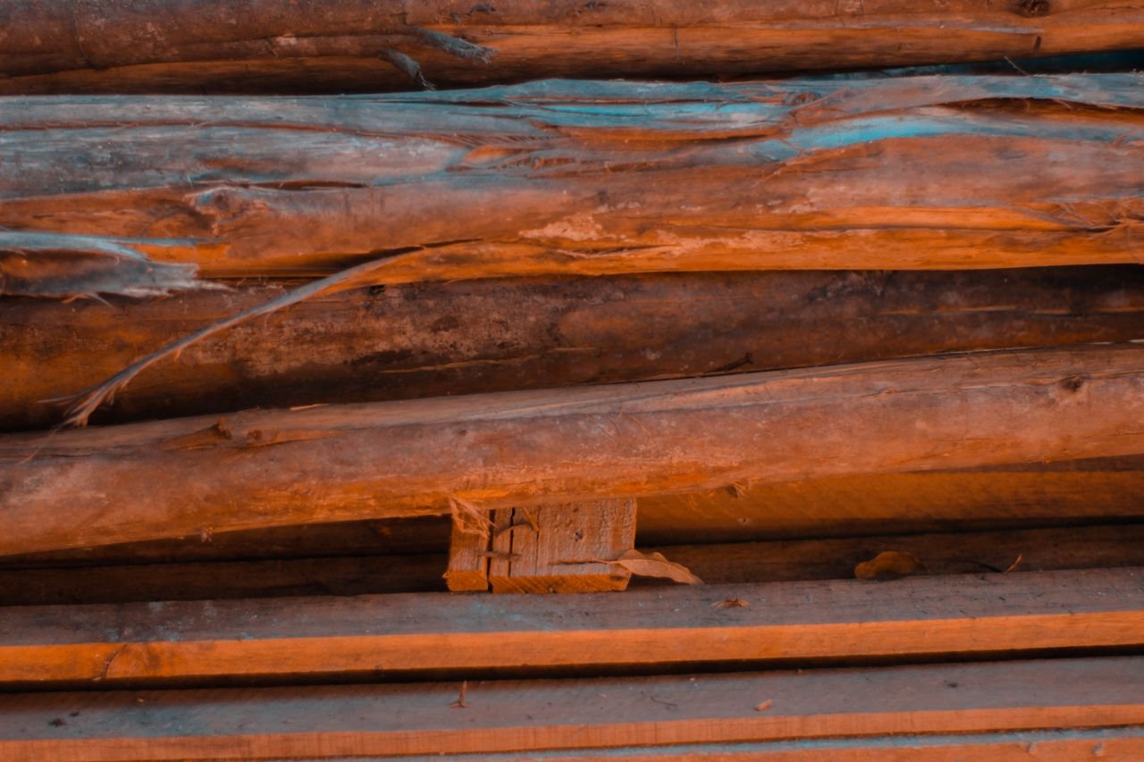 summer-sale Close-up of stacked wooden logs showcasing rich texture and natural patterns in warm lighting.